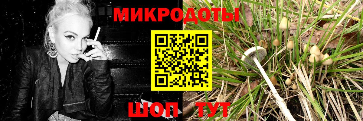 Галлюциногенные грибы Psilocybe  Вход с VPN  наркотики  Спасск-Дальний  Галлюциногенные грибы MAGIC MUSHROOMS 